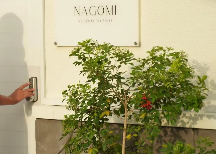 Nagomi Nyanyi アパート